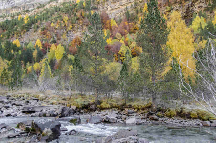 Huesca - parque nacional de Ordesa y Monte Perdido - valle de Ordesa 128 - rio Arazas.jpg